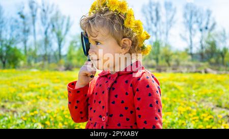 Ein Kind untersucht Pflanzen mit einer Lupe. Selektiver Fokus. Die Natur. Stockfoto