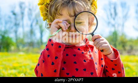 Ein Kind untersucht Pflanzen mit einer Lupe. Selektiver Fokus. Die Natur. Stockfoto