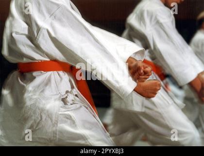 Karate-Kurs für Kinder und Teenager in Bonn. [Maschinelle Übersetzung] Stockfoto