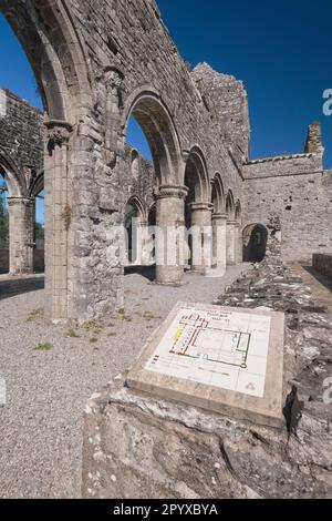 Irland, County Roscommon, Boyle, das Kloster von Boyle Abbey, das 1161 von Zisterziensermönchen gegründet wurde. Stockfoto