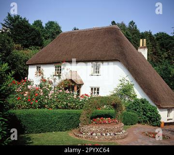 England. Ich Bin Devon. Cockington. Strohgedeckte Hütte. Stockfoto