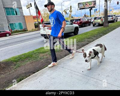 Hollywood, Kalifornien, USA. 4. Mai 2023. Am 4. Mai 2023 vor den Netflix Studios in Hollywood zur Unterstützung der Writers Guild of America Writers' Strike '' Tag 3 des ersten Schreiberstreiks seit 15 Jahren. Tausende von Autoren und anderen in der Film- und Fernsehbranche trugen Schilder an den Streikposten vor den Studios von Los Angeles/Hollywood, um mehr Bezahlung, Kontrolle der KI und bessere Arbeitsbedingungen zu fordern. (Kreditbild: © Amy Katz/ZUMA Press Wire) NUR REDAKTIONELLE VERWENDUNG! Nicht für den kommerziellen GEBRAUCH! Stockfoto