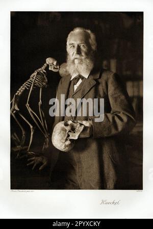 Ernst Haeckel (1834-1919), deutscher Zoologe und Philosoph. Fotografie von Nicola Perscheid. Foto: Heliogravure, Corpus Imaginum, Hanfstaengl Collection. [Maschinelle Übersetzung] Stockfoto