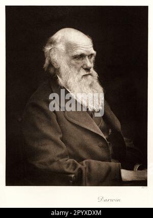Charles Robert Darwin (1809-1882), britischer Naturforscher, Gründer der Evolutionstheorie. Foto. Foto: Heliogravure, Corpus Imaginum, Hanfstaengl Collection. [Maschinelle Übersetzung] Stockfoto
