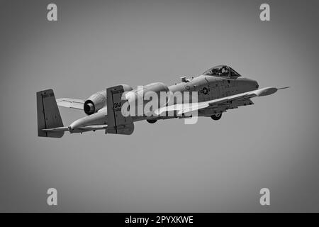 Ein A-10 Thunderbolt II, auch bekannt als Warthog oder Tankbuster, in der Luft auf der 2023 Thunder and Lightning Over Arizona Airshow in Tucson, Arizona. Stockfoto