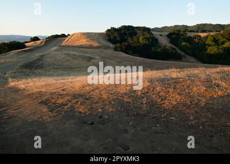 Ridge Oben Stockfoto