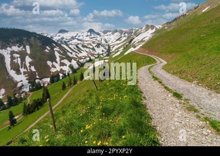 Wunderschöne gewundene Straße zwischen den grünen Weiden der Schweizer alpen. Ruhige Berglandschaft Stockfoto