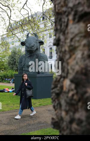 London, Großbritannien. 05. Mai 2023 Ausstellung: Das Jahr des Hasen von der Künstlerin Sophie Ryder auf dem St. James's Square. Diese Ausstellung ist Sophie Ryders imaginäre Welt der mythischen Wesen, diese Ausstellung zeigt große Skulpturen der gefeierten Künstlerin und vereint ihre einzigartige Charaktere. Sophie Ryder wurde 1963 in London geboren, und diese Ausstellung feiert ihr 60. Jahr. Das Jahr 2023 ist das Jahr des Hasen, das charakteristische Motiv von Ryder. Ausstellung vom 4. Mai bis 28. Juli 2023. Kredit: Waldemar Sikora/Alamy Live News Stockfoto