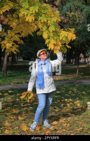 Auf dem Foto sammelt eine junge, nette Frau in Sonnenbrille einen Strauß gelber Blätter in einem Herbstpark. Stockfoto