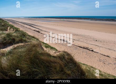 Portbail Beach in Cotentin, Normandie, Frankreich Stockfoto