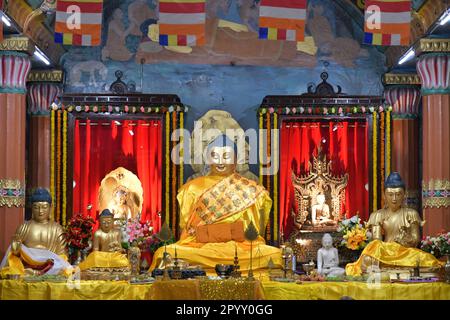 Kalkutta, Indien. 05. Mai 2023. Die Statue des Gautama Buddha wird in der Maha Bodhi Society während des Vesak Day/Buddha Purnima Festivals zum Gedenken an den Geburtstag des Gautama Buddha dekoriert. Kredit: SOPA Images Limited/Alamy Live News Stockfoto