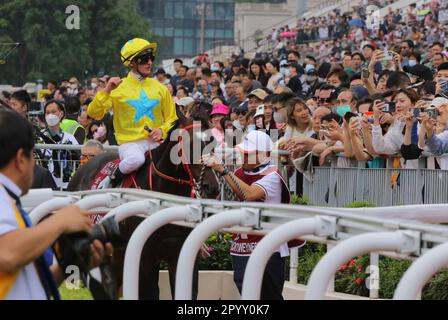 Rennen 5, LUCKY SWEYNESSE, geritten von Zac Purton, gewann DEN CHAIRMAN's SPRINT PREIS (Gruppe 1, 1200m) in Sha Tin. 30. April 23 SCMP/Kenneth Chan. Stockfoto