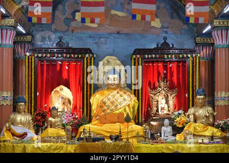 Kalkutta, Indien. 05. Mai 2023. Die Statue des Gautama Buddha wird in der Maha Bodhi Society während des Vesak Day/Buddha Purnima Festivals zum Gedenken an den Geburtstag des Gautama Buddha dekoriert. (Foto: Dipayan Bose/SOPA Images/Sipa USA) Guthaben: SIPA USA/Alamy Live News Stockfoto