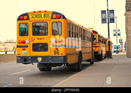 American School Bus, Detroit MI, USA Stockfoto