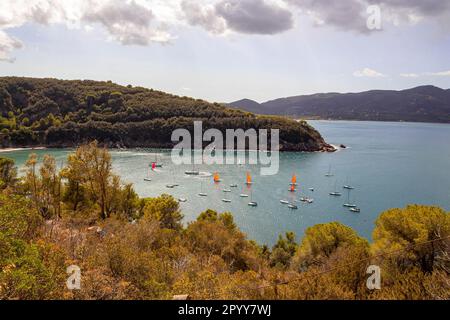 Blick von oben auf Segelboote in der Bucht von Bagnaia Beach, im Golf von Portoferraio, Elba Island, Italien Stockfoto