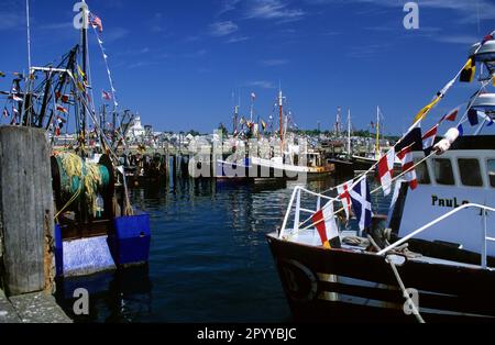 Dekorierte Fischerboote, Provincetown Harbor, Cape Cod Stockfoto