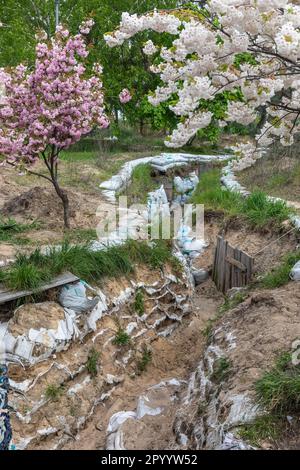 Kiew, Ukraine. 04. Mai 2023. Gräben und Sandsäcke sind in den Gassen des Parks zu sehen. Sakura blühte im Kyoto-Park in Kiew auf. Der Kyoto Park in Kiew ist eine kleine japanische Insel inmitten der ukrainischen Hauptstadt. Es ist die längste Sakura-Allee in der Ukraine, etwa einen Kilometer lang, wurde gepflanzt, Sakura-Bäume blühen nicht lange - nur zwei Wochen von Ende April bis Anfang Mai. Kyoto Park war der Ort der Verteidigungslinie Kiews und es gibt zahlreiche Befestigungsanlagen. (Foto: Mykhaylo Palinchak/SOPA Images/Sipa USA) Guthaben: SIPA USA/Alamy Live News Stockfoto