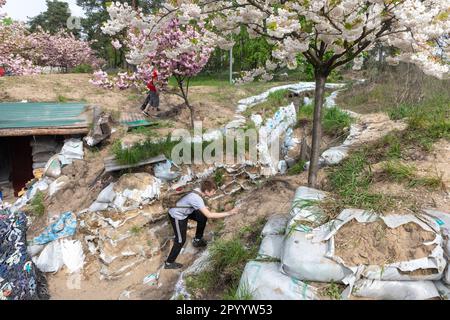 Kiew, Ukraine. 04. Mai 2023. Ein Teenager, der die Gräben im Park inspiziert. Sakura blühte im Kyoto-Park in Kiew auf. Der Kyoto Park in Kiew ist eine kleine japanische Insel inmitten der ukrainischen Hauptstadt. Es ist die längste Sakura-Allee in der Ukraine, etwa einen Kilometer lang, wurde gepflanzt, Sakura-Bäume blühen nicht lange - nur zwei Wochen von Ende April bis Anfang Mai. Kyoto Park war der Ort der Verteidigungslinie Kiews und es gibt zahlreiche Befestigungsanlagen. (Foto: Mykhaylo Palinchak/SOPA Images/Sipa USA) Guthaben: SIPA USA/Alamy Live News Stockfoto