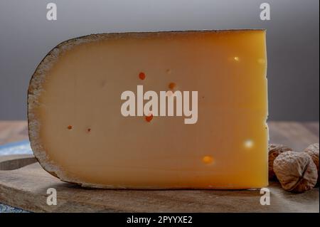 Käsesammlung, belgischer alter gelber Kuhmilchkäse aus Brügge, Käse und Bier Stockfoto