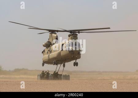 Kanadische Streitkräfte leiten den CH-47 Chinook Helikopter der Firma B, 1-376. Aviation Regiment, um die Last des Hebegurts während der Übung Maple Resolve 2018 in Wainwright, Alberta, Kanada, zu erhalten. (Foto der Nebraska National Guard von Staff Sgt. Herschel Talley) Stockfoto