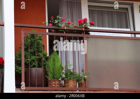 Balkon dekoriert mit wunderschönen Blumen und grünen Pflanzen Stockfoto