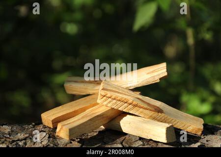 Palo santo klebt draußen an Baumrinde Stockfoto