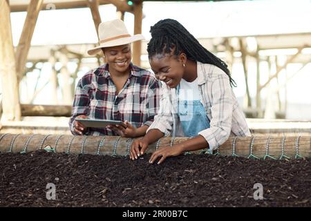 Zwei Landwirte prüfen die Bodenqualität. Glückliche Landwirte nutzen digitale Tablets zur Überprüfung der Bodenqualität. afroamerikanische Bauernarbeiter, die auf ein Drecksbett starren Stockfoto