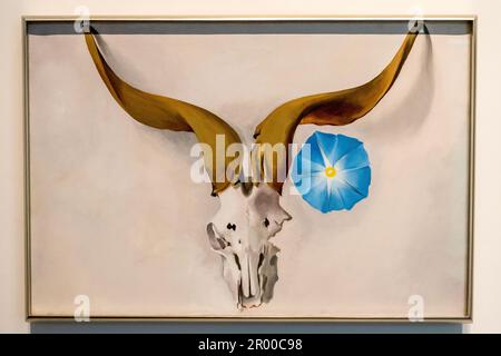 Das berühmte Georgia Okeeffe Painting of a RAM's Skull befindet sich im Georgia O'Keeffe Museum in Santa Fe, New Mexico Stockfoto