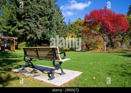 Eine Parkbank in einem öffentlichen Park in Toronto, Ontario, Kanada. Stockfoto