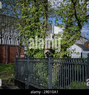 Düsseldorf Way, Broad Street Mall ( Butts Centre) Reading, Berkshire. Reading, Berkshire. Stockfoto