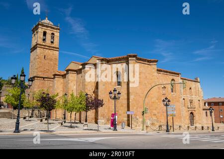 concatedral de San Pedro, siglo XII, Soria, Comunidad Autónoma de Castilla, Spanien, Europa Stockfoto