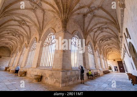 claustro, Catedral de Santa María de la Asunción, El Burgo de Osma, Soria, comunidad autónoma de Castilla y León, Spanien, Europa Stockfoto