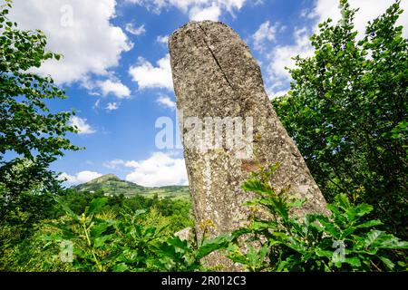 Menhir of Counozouls, Aude Valley, Roussillon, Pyrenees Orientales, Frankreich, Europa Stockfoto