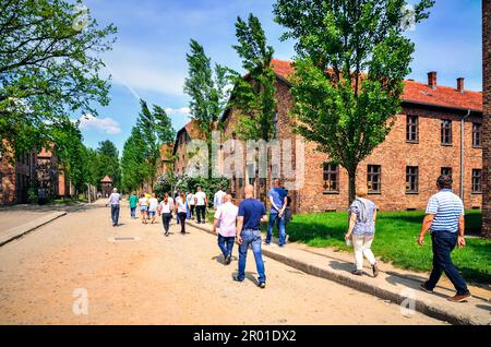 Oswiecim, Polen - 12. Mai 2016: Mauerwerksblöcke im Konzentrationslager Auschwitz-Birkenau in Oswiecim, Polen. Stockfoto