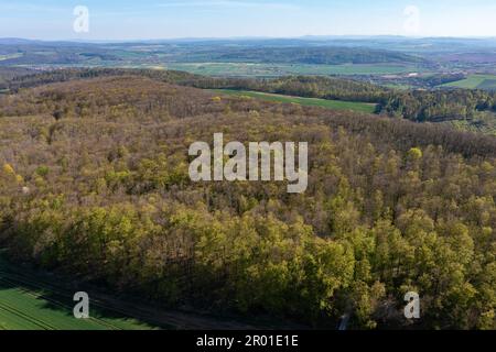 Blick über einen Wald zwischen Hessen und Thüringen Stockfoto