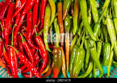 Chilis werden in vielen Küchen häufig als Gewürze verwendet, um den Gerichten Wärme zu verleihen. Hier sind einige frische grüne und rote Chili aus biologischem Anbau, die einen Hintergrund bilden. Stockfoto