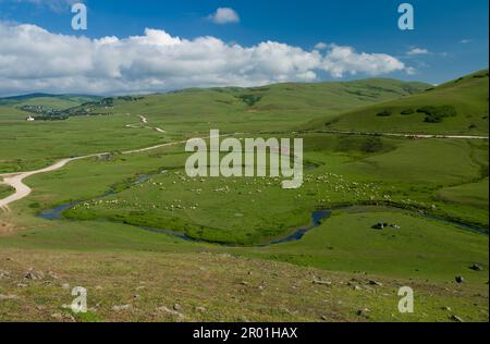 Auf dem Persembe-Plateau. Sommer ist Highland-Zeit. Schwarzmeerregion. Aybasti, Ordu Stadt, Türkei Stockfoto