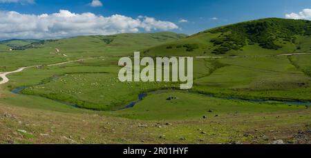 Auf dem Persembe-Plateau. Sommer ist Highland-Zeit. Schwarzmeerregion. Aybasti, Ordu Stadt, Türkei Stockfoto