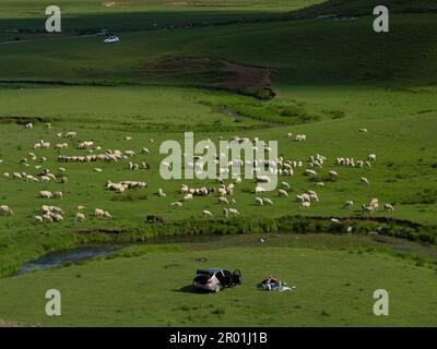 Auf dem Persembe-Plateau. Sommer ist Highland-Zeit. Schwarzmeerregion. Aybasti, Ordu Stadt, Türkei Stockfoto