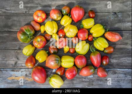 Ein Set aus verschiedenen Tomatensorten auf einem Holztisch. Draufsicht Stockfoto