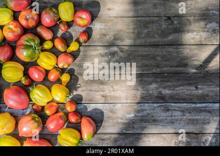 Ein Set verschiedener Tomatensorten auf einem Holztisch mit Platz für Text. Draufsicht Stockfoto