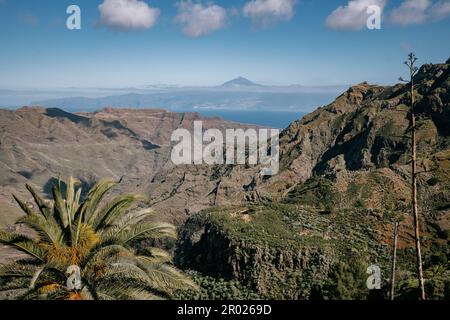 Palmen und Berge an einem sonnigen Tag mit dem Meer im Hintergrund Stockfoto