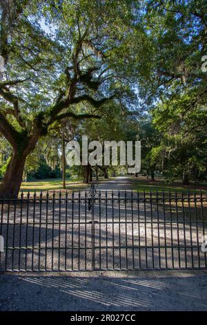 Eintritt zur historischen Stätte McLeod Plantation, Charleston, SC Stockfoto