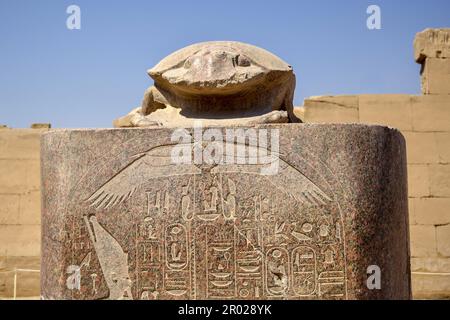 Statue des heiligen Scarab-Käfers im Karnak-Tempel an einem sonnigen Tag. Skulptur des Scarab-Käfers, Skarabäus-Denkmal, Luxor, Ägypten. Nahaufnahme. Speicherplatz kopieren. Stockfoto