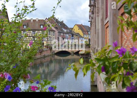 Frankreich, Elsass, Colmar, Stadtzentrum, Altstadt, Der Lauch in Colmar, das kleine Venedig, die Markthalle im Krutenau Stockfoto