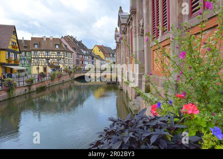 Frankreich, Elsass, Colmar, Stadtzentrum, Altstadt, Lauch in Colmar, Little Venice, Markthalle in Krutenau, Fachwerkhäuser Stockfoto