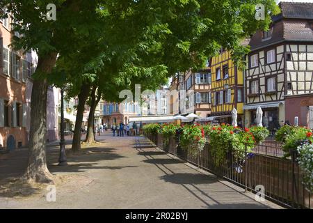 Frankreich, Elsass, Colmar, Stadtzentrum, Altstadt, Fachwerkhäuser Stockfoto