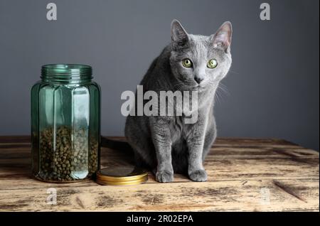 Zwei Katzen, die neugierig auf Katzenfutter im Glas sind Stockfoto