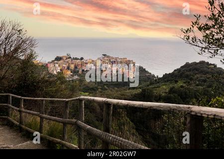 Straße nach Coniglia, einem der fünf Cinque Terre Dörfer im Nordwesten Italiens Stockfoto