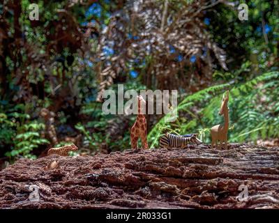 Nahaufnahmen von vier handgefertigten hölzernen Tierfiguren auf einem alten Stamm in einem Eichenwald in der Nähe der Stadt Arcabuco im Zentrum von Colombi Stockfoto